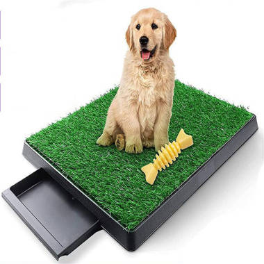 Potty sale training mats